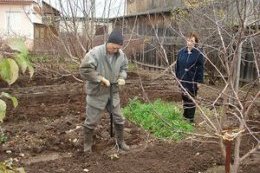 Культиватор торнадо в работе Применение культиватора торнадо