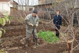 Применение культиватора торнадо